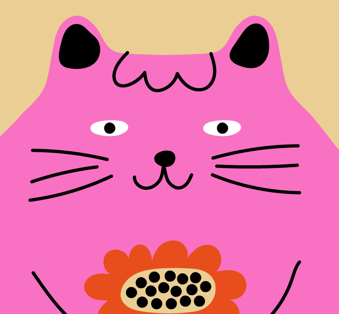 Pink cat